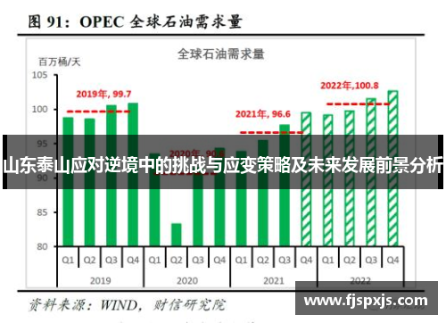 山东泰山应对逆境中的挑战与应变策略及未来发展前景分析