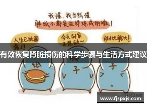 有效恢复肾脏损伤的科学步骤与生活方式建议