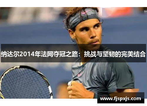 纳达尔2014年法网夺冠之路:挑战与坚韧的完美结合 纳达尔2014年法网夺冠之路:挑战与坚韧的完美结合