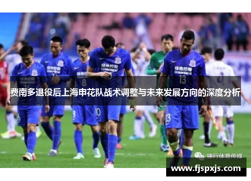 费南多退役后上海申花队战术调整与未来发展方向的深度分析